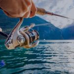 7 Cara Memilih Ikan Segar